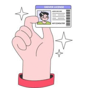 Permit Renewal(Government Charges extra if applicable)