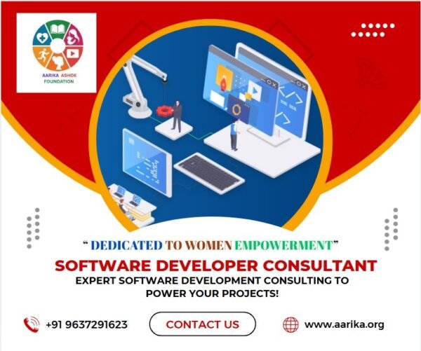 Software Developer Consultant